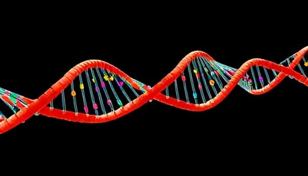 Arcus Biosciences: Leading the Charge in Cancer Immunotherapy Innovation