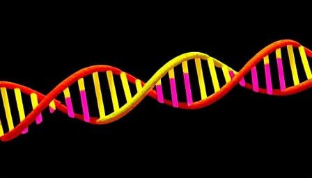 Arrowhead Pharmaceuticals: Leading the Charge in Gene-Silencing Biotech Innovations