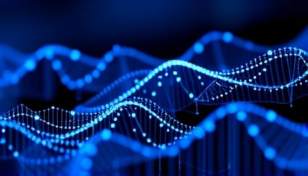 Bonk on ETH: Market Buzz Driven by Institutional Interest and Solana's Potential Bonk on ETH: Market Buzz Driven by Institutional Interest and Solana's Potential