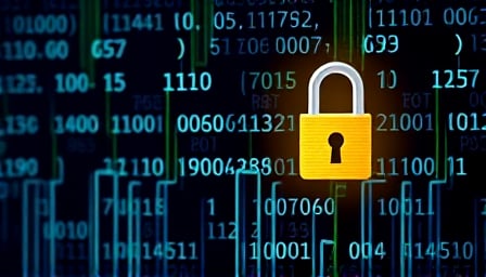 BORA's Resilience in Crypto Market Highlights Future Potential