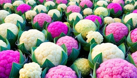 Broccoli 714: Rising Resilience in the Cryptocurrency Market
