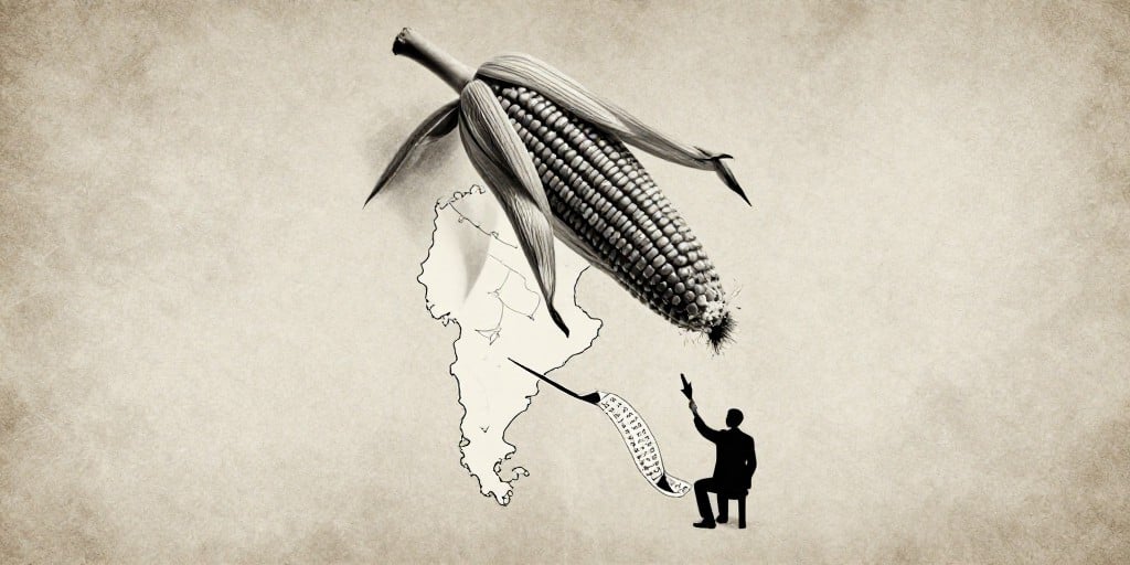 Corn Futures Surge, Then Crash: Argentina’s Export Blitz and Hedge‑Fund Short Positions Drive Volatility Corn Futures Surge, Then Crash: Argentina’s Export Blitz and Hedge‑Fund Short Positions Drive Volatility