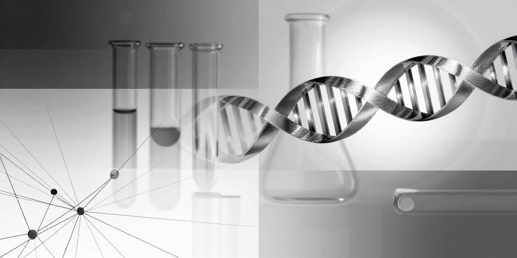 Equillium Showcases EQ504 Preclinical Findings at 7th International AHR Conference Equillium Showcases EQ504 Preclinical Findings at 7th International AHR Conference