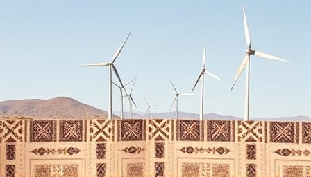 Erayak Power Solution Group Inc. Struggles Amid Nasdaq Volatility and Financial Challenges