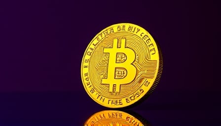 Fefe Cryptocurrency Soars: From 52-Week Low to Promising Growth