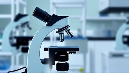 IDEXX Laboratories Reports Strong Q1, Boosts 2025 Outlook Amid Market Optimism