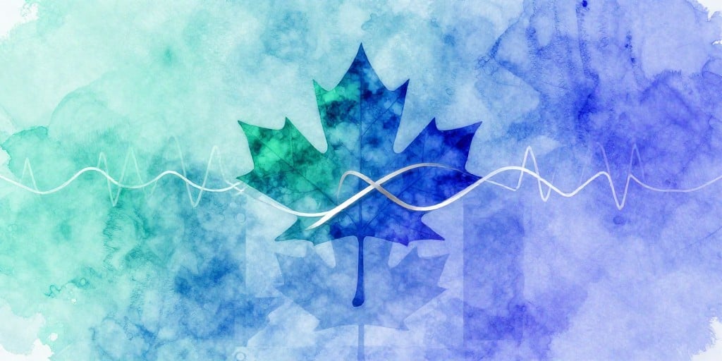 Izotropic Corp: Navigating Volatility, Negative P/E, and Growth Potential on the Canadian National Stock Exchange