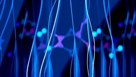 RADCOM Ltd: Pioneering Network Testing and Quality Management in Global Telecommunications