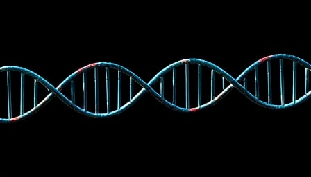 Regen BioPharma Inc.: Pioneering Future Therapies in Biotechnology Amid Market Challenges