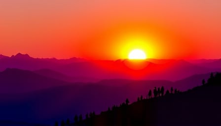 Sunshine Capital Ltd: Demonstrates Remarkable Recovery and Strategic Growth Amid Market Volatility