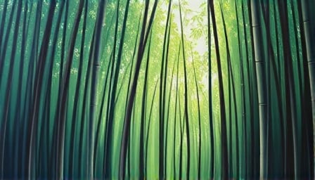 Tantech Holdings Leads with Sustainable Bamboo-Based Products Amid Market Volatility