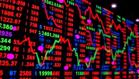 Vulpe Finance's Volatile Year: From Record Highs to Dramatic Lows
