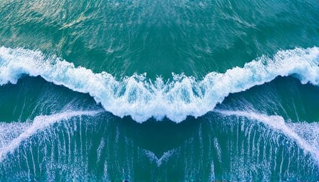 WHALE Cryptocurrency Sees Volatile Market Performance Amid Investor Scrutiny