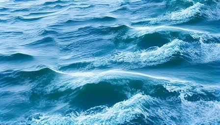 Xai's Crypto Saga: From Volatility to Resilience in the Digital Currency Market