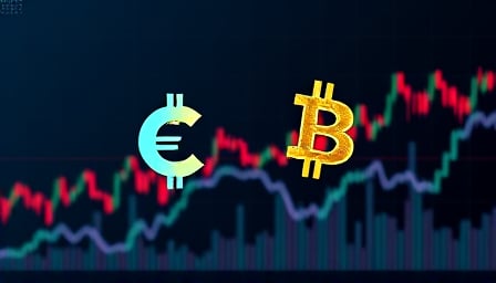 Yes Chad's Crypto Saga: From Peak to Trough in a Year of Unpredictability