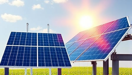 Zhejiang Dun'An Artificial Environment Co Ltd: Navigating Market Fluctuations with a Focus on Sustainable Innovation
